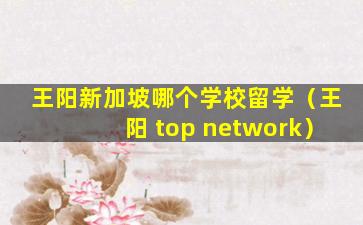 王阳新加坡哪个学校留学（王阳 top network）